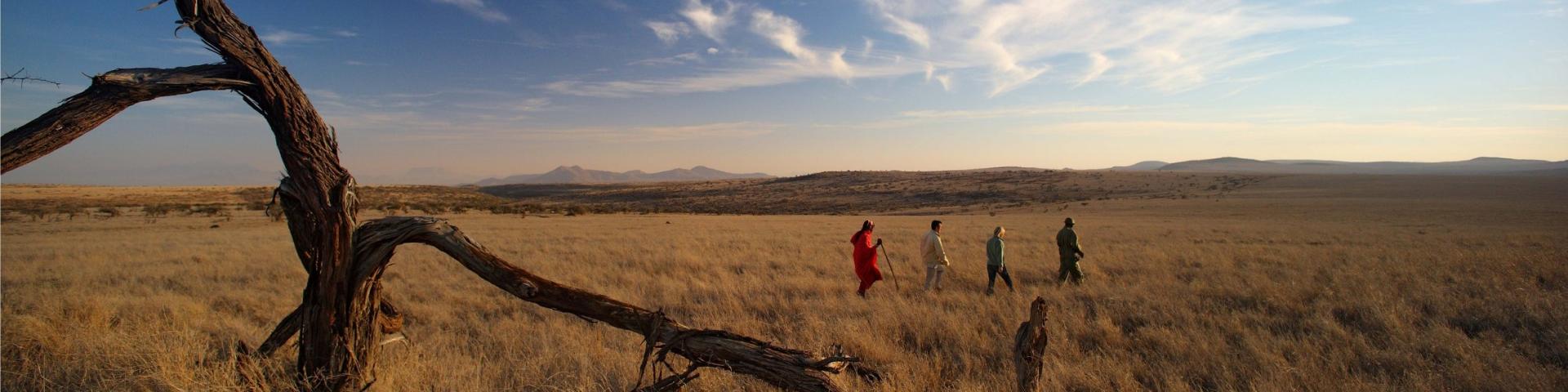 Piesze safari w Tanzanii i Kenii - poznaj Dziką Afrykę z Memories